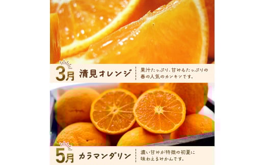 和歌山旬のカンキツ定期便【S】全4回（配送日時指定不可）※北海道・沖縄・離島への配送不可 / 定期便 フルーツ みかん 清見オレンジ 青切り 青切りみかん カラマンダリン 4回 【ard-tkb902A】