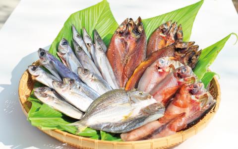 【干物セット】たっぷり24点以上！定番干物6種24枚セット 干物 ひもの セット 和歌山 家庭用【ben002】