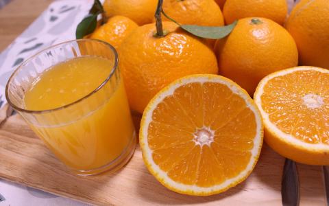 ＼ みかんの名産地 和歌山県産／ 農家直送 完熟清見オレンジ 5kg (M～２Lサイズおまかせ) ひとつひとつ手選別で厳選【2026年3月中旬～4月下旬ごろに順次発送予定】【hdm003A】