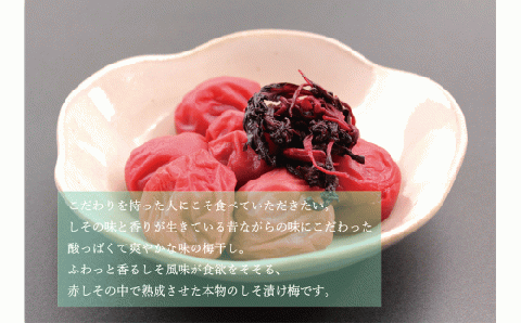 【贈答用】紀州南高梅 食べ比べセット 500g×2　（しそ風味・うす味） 梅干し【inm900-4B】