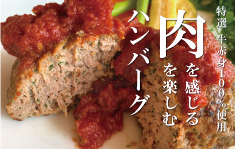 牛100％使用　世界三大料理トルコの本格ハンバーグ5個セット（200gソース入り×5）ギフト 贈答にも【kcr105】