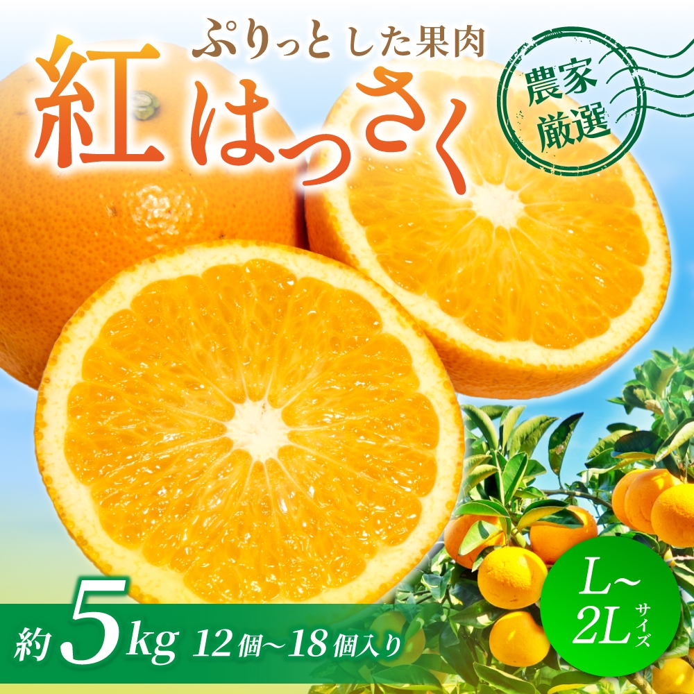 【先行予約】【数量わずか】あふれる果汁！ 希少な紅はっさく 秀品 5kg L～２L 2026年1月初旬～2026年3月末頃に順次発送予定（お届け日指定不可）/ ハッサク 八朔 紅八朔 紅はっさく フルーツ 柑橘 蜜柑 果物 くだもの【kgr006A】