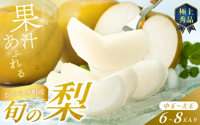 【先行予約】旬の梨(幸水ー豊水ーあきづき) 極上秀品（中玉～大玉）6～8個入り 2026年8月中旬～9月中旬頃に順次発送予定（お届け日指定不可）/ 和歌山 梨 フルーツ 果物 くだもの【kgr015】