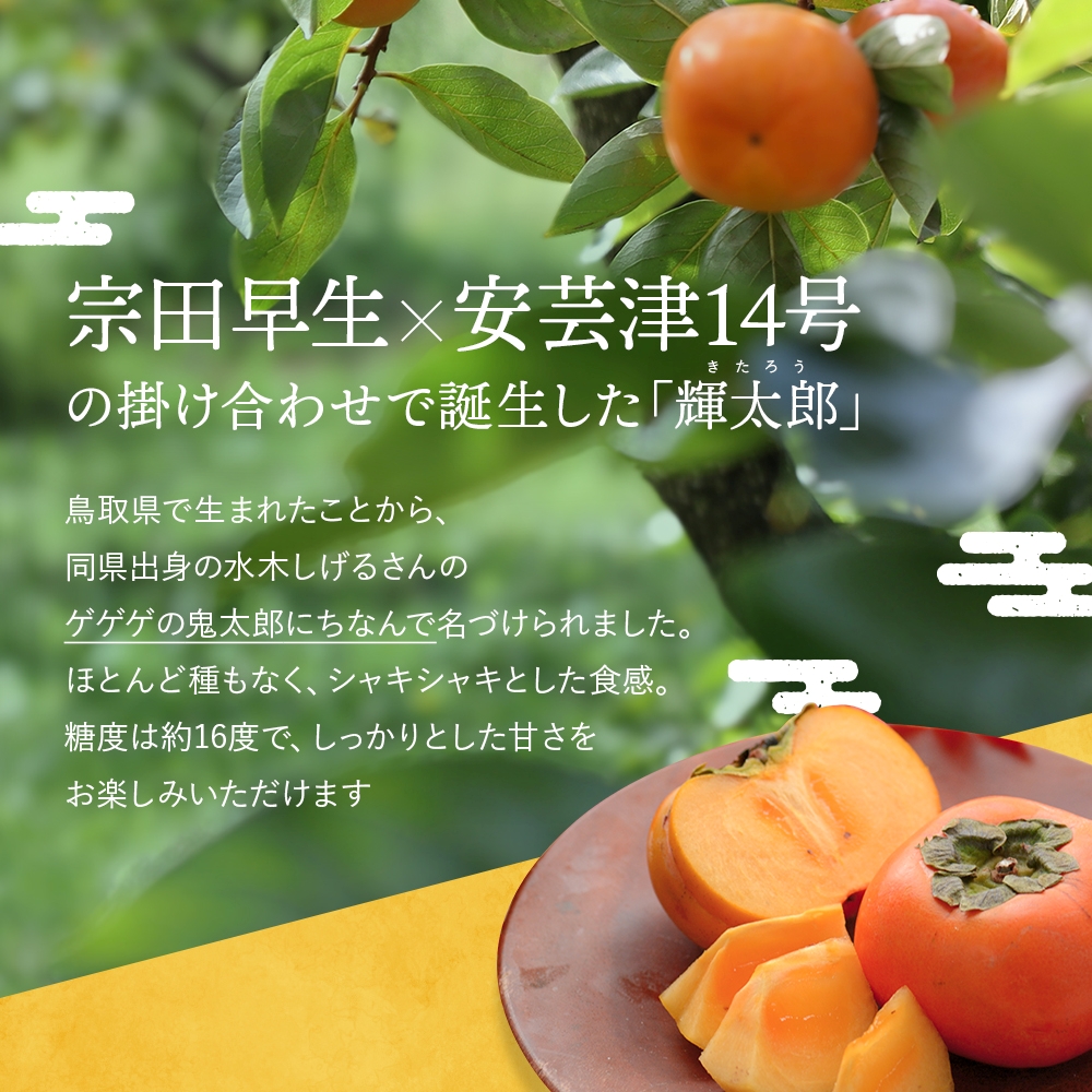 希少な柿【輝太郎】大玉6個～7個 コクのある甘さ！こだわり農家厳選【2026年9月末～10月末頃に順次発送予定】 / 柿 かき 果物 フルーツ 輝太郎 デザート おやつ 和菓子 菓子 お菓子 和歌山産 和歌山県産【kgr018】