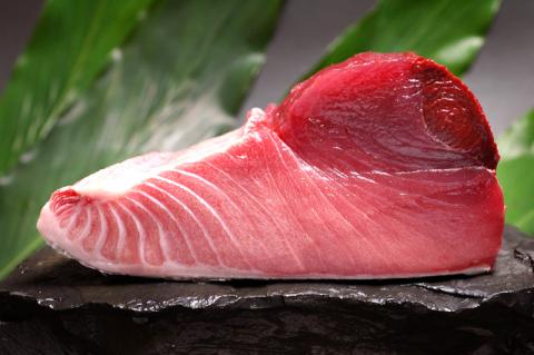 本マグロ 中とろ 800g（400g×2）サク 「プレミア和歌山認定」  和歌山県でも指折りの好漁場で養殖された本鮪です！  南紀串本よしだ本鮪【mhs102A】