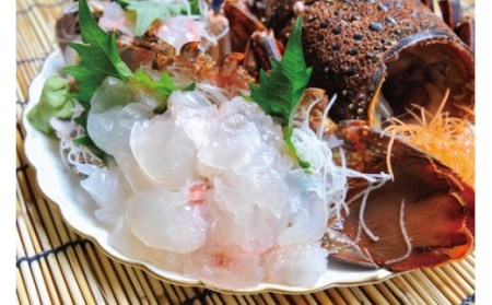 【予約 11月～順次発送】活イセエビ 1kg （2尾～3尾）黒潮が寄せる海で育った一味違う伊勢海老【mhs105-2】