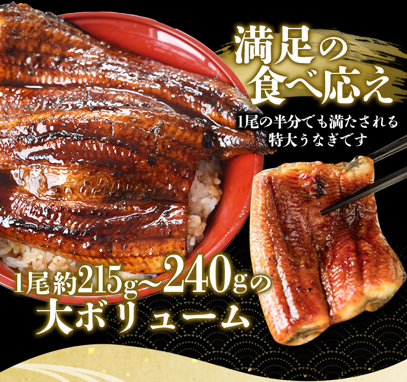 1尾で約215g～240gのビッグサイズ うなぎ蒲焼 2尾 計約430g～480g （タレ・山椒付き） 【通常発送】【nks700B】