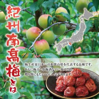 紀州南高梅　うす塩【ハチミツ無】 塩分10%（1.5kg）なかやまさんちの梅干　うめ　ウメ【nky003-115k】