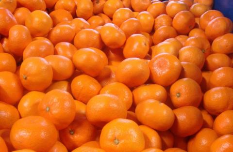 【農家直送】有田みかん　約10kg 大玉3L以上　有機質肥料100%　※2022年12月初旬～1月中旬に順次発送(お届け日指定不可)【nuk119】