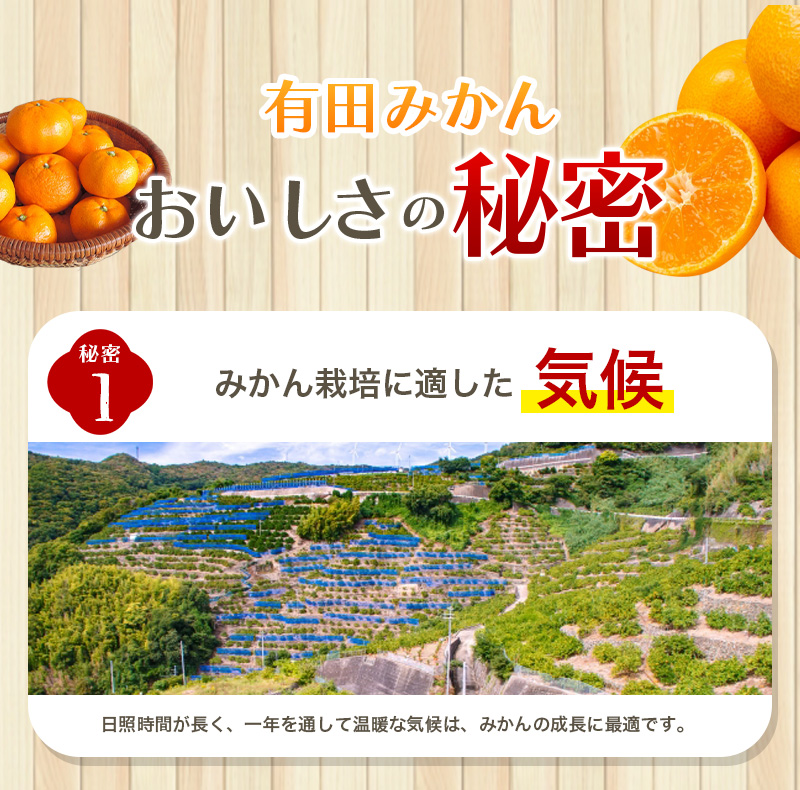 極 有田みかんプレミアム 約2kg【光センサー 高糖度選別品】2S～Lサイズ　※2025年11月下旬～2026年1月上旬頃発送   先行予約 みかん 温州みかん ミカン 小粒 【nuk154F】