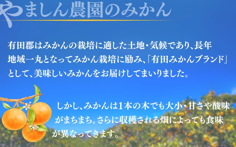 極 有田みかんプレミアム 10kg【糖度12度以上】2S～Lサイズ　※2025年11月下旬頃～2025年12月下旬頃順次発送予定   先行予約 みかん 温州みかん ミカン 小粒 【nuk156D】