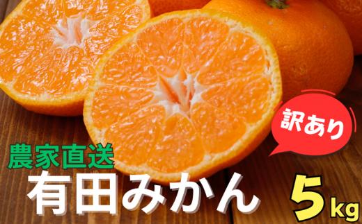 【訳あり】農家直送 有田みかん 約5kg ご家庭用 サイズ混合 ※2025年11月中旬より順次発送予定（お届け日指定不可）※北海道・沖縄・離島への配送不可 訳ありみかん みかん ミカン 蜜柑 柑橘 フルーツ 果物 くだもの 温州みかんサイズ混合 訳ありみかん 温州みかん 有機質肥料100% ふるさと納税 柑橘 有田 産地直送【nuk161D】