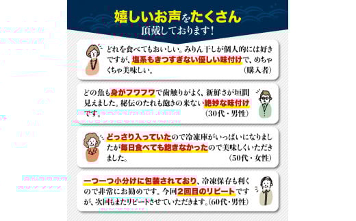 【訳あり干物セット】たっぷり20点以上！おざきのひもの「おまかせスペシャルセット」【冷凍】/ ひもの 干物 干物セット 個包装 イカ 一夜干し 訳あり わけあり【ozk103-1】