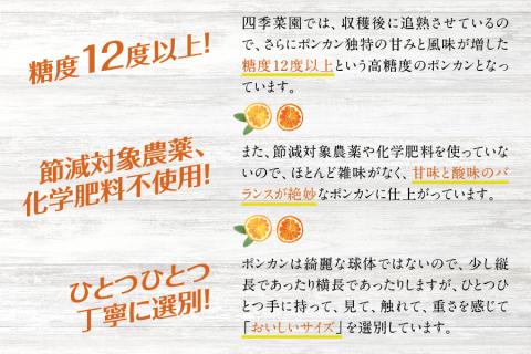 濃厚な甘さ！くしもとポンカン L～2L 5kg 【2026年1月上旬～2月中旬発送予定】 柑橘 ぽんかん フルーツ みかん ミカン オレンジ 限定 有機率100%肥料 節減対象農薬不使用 化学肥料不使用【sse100】