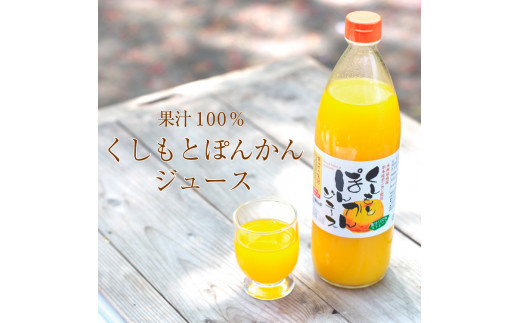 果肉入り！くしもとポンカンジュース 900g ×6本 無添加 果肉入り 果汁100% ストレートジュース / ドリンク 柑橘 ぽんかん フルーツ みかん ミカン オレンジ 限定 和歌山【sse206B-6】