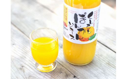 【ふるさと納税】果汁100％！くしもとポンカンジュース 900g ×3本 無添加 果肉入りストレートジュース / ドリンク 柑橘 ぽんかん フルーツ みかん ミカン オレンジ 限定 和歌山【sse206B】