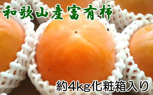 ［厳選・産直］和歌山産の富有柿約4kg（化粧箱入り）（2L～4Lサイズ）【2026年発送】【tec401B】