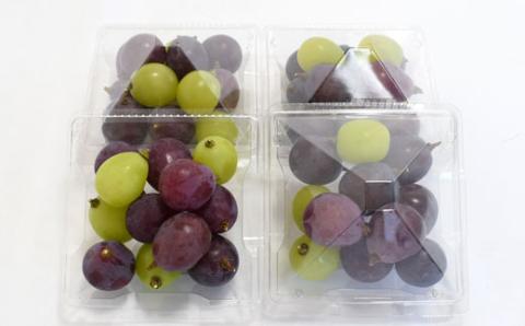 【数量限定】ピオーネと翠峰の夏のおまかせセット約200g×4パック※2023年8月下旬～9月下旬頃順次発送【tec514】