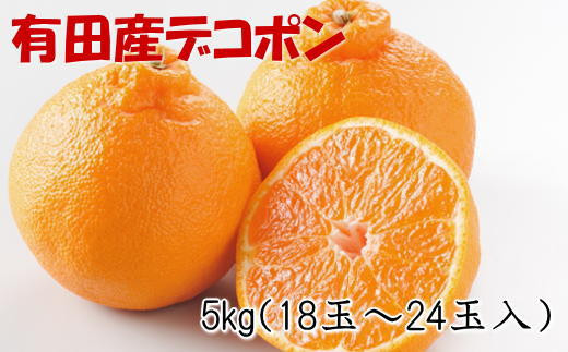 【お味濃厚】紀州有田産のデコポン約5kg(18玉～24玉入り・青秀以上) ※2026年2月中旬～2026年3月中旬頃順次発送(お届け日指定不可)【tec810B】