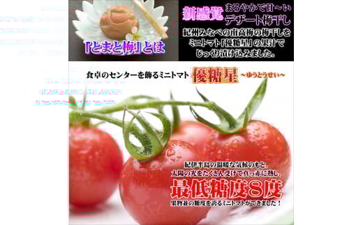 南高梅 とまと梅 tomato-ume １００ｇ×５個 / 梅干し 梅干 梅 トマト梅 【ypl004】