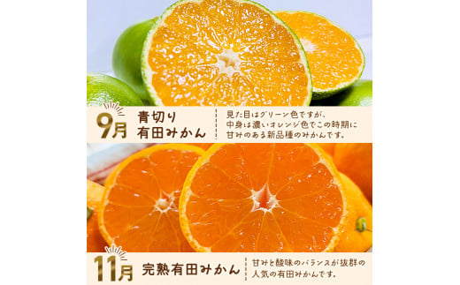 和歌山旬のカンキツ定期便【M】全4回（配送日時指定不可）※北海道・沖縄・離島への配送不可 / 定期便 フルーツ みかん 清見オレンジ 青切り 青切りみかん カラマンダリン 4回 【ard-tkb903A】