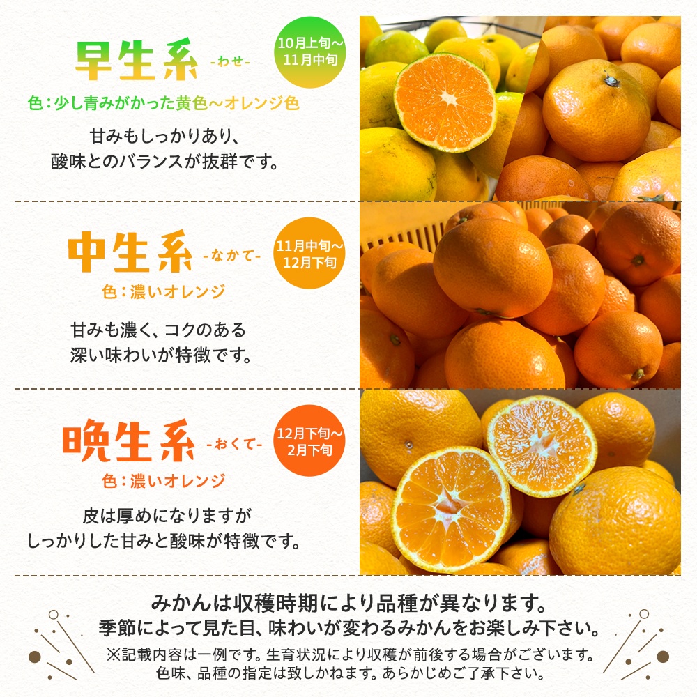 【2026年1月発送】有田育ちのご家庭用完熟 有田みかん 5kg+200g(傷み補償分)【ard186D-01】