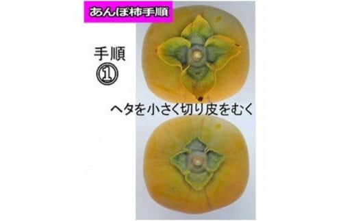 甘さが違う！とっても甘くなる生渋柿（平たねなし柿）あんぽ柿用 T軸枝無 約14.5～15kg　約60～90個＜2026年10月中旬～11月上旬ごろ順次発送＞-AP【art002B】