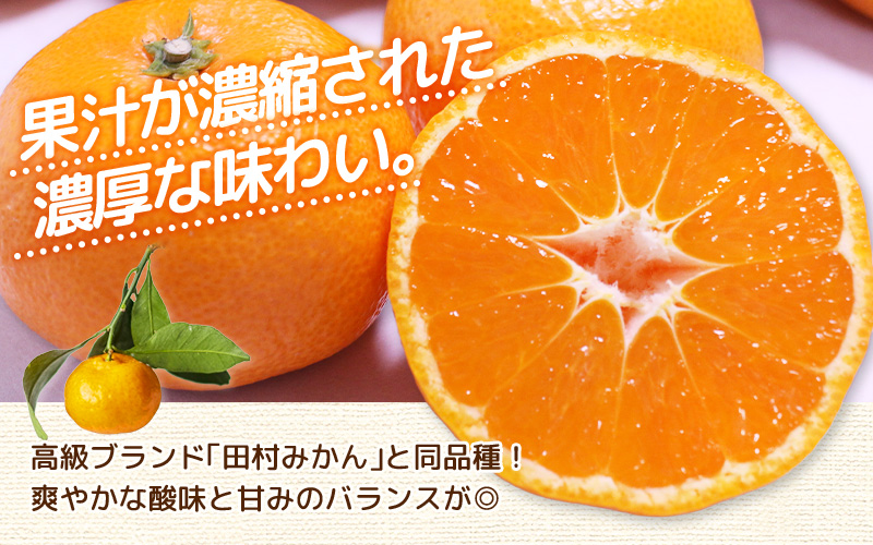 ＼ みかんの名産地 和歌山県産／ 農家直送 大玉 有田みかん 10kg （2L～3L） ひとつひとつ手選別で厳選【2025年11月下旬～1月中旬ごろに順次発送予定】 | みかん フルーツ 果物 くだもの 有田みかん 蜜柑 柑橘【hdm001-2A】