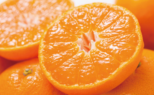 ブランド有田みかん【S】秀品10kg ／産地直送／薄皮で甘い美味しい和歌山県産／紀伊国屋文左衛門本舗　※2026年11月上旬～2027年1月中旬頃に順次発送予定（お届け日指定不可）【kstb143C】