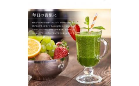 【ふるさと納税】じゃばらパウダー100g×2袋【njb381-y2A】