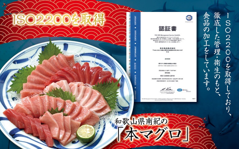 【2月発送】まぐろ 本マグロ トロ＆赤身セット 500g（養殖）濃厚な赤身と高級部位トロの鮪好きにはたまらないセット 【nks110D-2_25cp】 500g(2月発送)