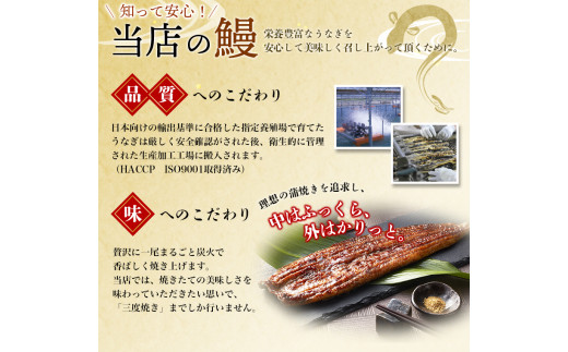 うなぎ蒲焼 4尾 計約860g～960g （タレ・山椒付き） 1尾で約215g～240gのビッグサイズ 【通常発送】【nks702B】
