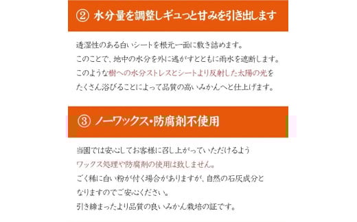 【農家直送】こだわりのデコポン不知火 約5kg  有機質肥料100%　※2026年2月中旬より順次発送予定（お届け日指定不可）【nuk111C】