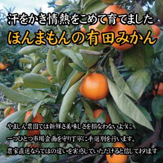 【農家直送】有田みかん　約10kg 大玉3L以上　有機質肥料100%　※2022年12月初旬～1月中旬に順次発送(お届け日指定不可)【nuk119】