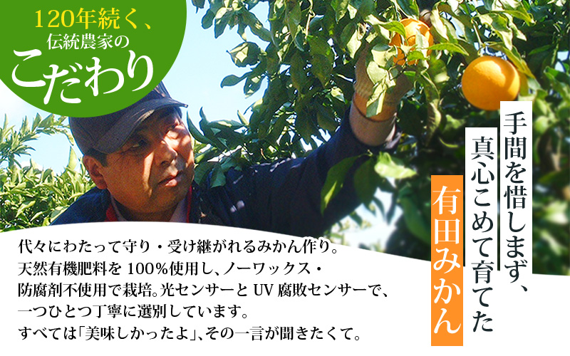 こだわりの有田みかん 約2kg【ご家庭用】【1月発送】みかん ミカン 有田みかん 温州みかん 柑橘 有田 和歌山 ※北海道・沖縄・離島配送不可【nuk159-01】