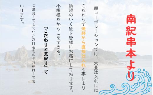 和歌山県産 天然 キハダマグロ 約1kg / まぐろ 鮪 キハダマグロ 海鮮 魚貝 魚　【tcr003A】
