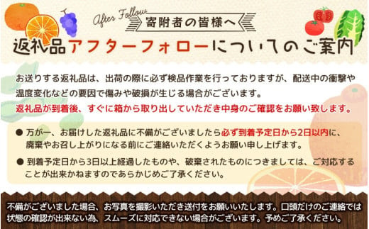  一度は食べていただきたい「有田産のせとか」約4～5kg（サイズおまかせ）※2026年2月中旬～2026年3月上旬頃に順次発送【tecj1024】 