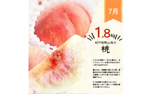 【全4回】紀州和歌山産旬のフルーツ定期便 (スイカ・桃・巨峰・シャインマスカット) / すいか スイカ もも 桃 白桃 巨峰 マスカット シャインマスカット 葡萄 ぶどう 果物 くだもの フルーツ フルーツ定期便 和歌山【tkb421】 