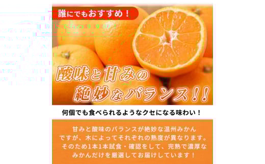 【先行予約】紀州有田産 濃厚完熟 温州みかん 5kg ※2026年11月下旬～2027年1月下旬頃に順次発送予定 / みかん ミカン 蜜柑 温州みかん 柑橘 フルーツ 果物 くだもの 和歌山【uot006】