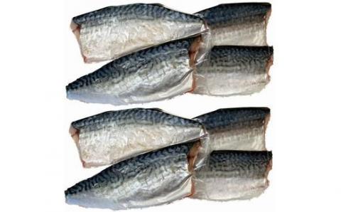 塩さばフィレ14枚入（真空パック入）【uot403B-1】