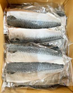 塩さばフィレ２４枚入(真空パック入)【uot742B-1】