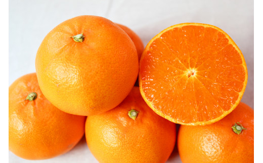 【ご家庭用訳あり】紀州和歌山産　せとか　約５ｋｇ 2026年2月上旬頃～2026年3月中旬頃発送　【先行予約】【みかん】 【uot748】