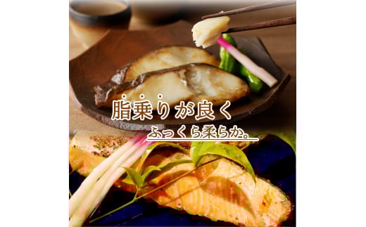 和歌山魚鶴仕込みのだし漬け天然銀だら切身6切＆銀鮭切身6切　（真空パック入）  小分け / 銀鱈 さけ  だし 魚 切り身 切身 魚 海鮮 焼き魚 ご飯のおとも おかず【uot851A】