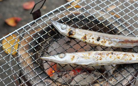 【干物セット】たっぷり24点以上！定番干物6種24枚セット 干物 ひもの セット 和歌山 家庭用【ben002】