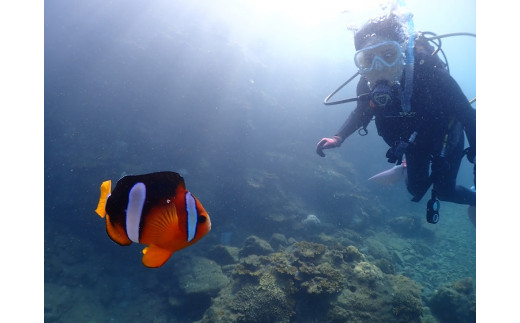 【初心者ダイバー・ブランクダイバー大歓迎】 2ボートダイビング（1名）【ダイバー（Cカード所持者）限定】 スキューバダイビング チケット ダイビング 体験 【kdc001A】