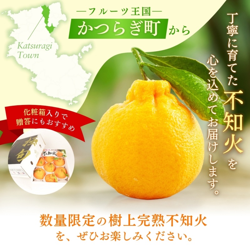 【先行予約】【数量わずか】樹上完熟しらぬい（不知火） 約2kg(6個) 秀品 2026年2月下旬～2026年4月中旬頃に順次発送予定（お届け日指定不可）/ 和歌山 みかん しらぬい 不知火 フルーツ 柑橘 蜜柑 果物 くだもの【kgr005】