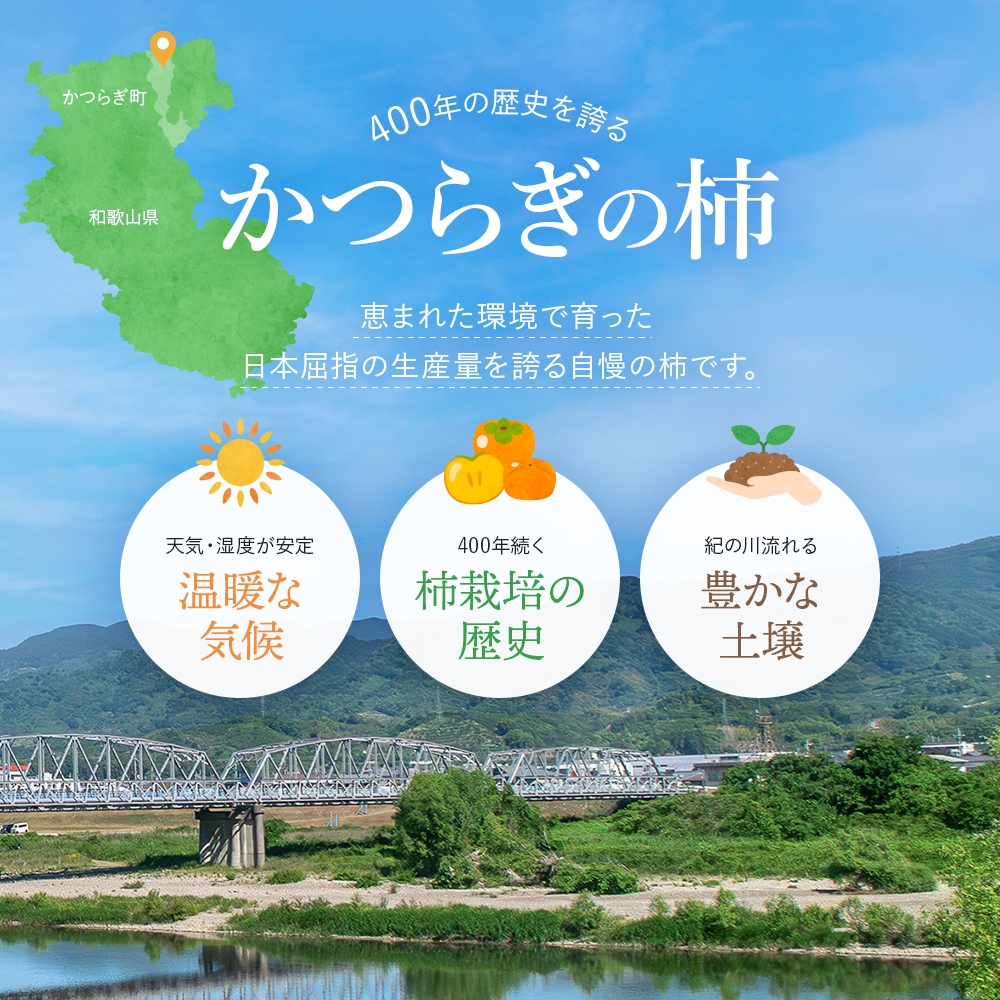 希少な柿【輝太郎】大玉6個～7個 コクのある甘さ！こだわり農家厳選【2026年9月末～10月末頃に順次発送予定】 / 柿 かき 果物 フルーツ 輝太郎 デザート おやつ 和菓子 菓子 お菓子 和歌山産 和歌山県産【kgr018】