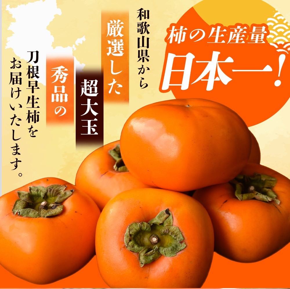 【先行予約】種無し柿 刀根早生柿 秀品大玉 約1.8kg（6個） 2026年9月末頃～10月末頃に順次発送予定（お届け日指定不可）/ 柿 かき 種無し 秀品 大玉 フルーツ 果物 くだもの【kiy002A】