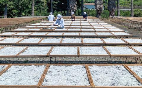 紀州の恵みセット【mef004-1】