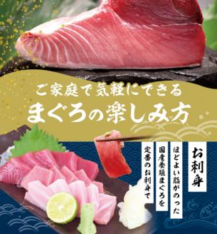 本マグロ 大とろ 200g サク 「プレミア和歌山認定」  和歌山県でも指折りの好漁場で養殖された本鮪です！  南紀串本よしだ本鮪【mhs103A】